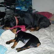 donna halliday's photo