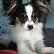 Amy Engel's photo