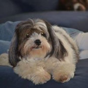 Cathy Mitchell's photo