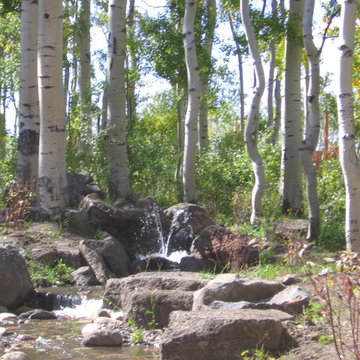 High Mountain Residential Landscape Design