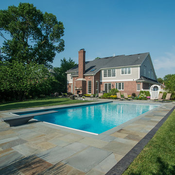Burr Ridge, IL Swimming Pool With Sunshelf, Diving Board