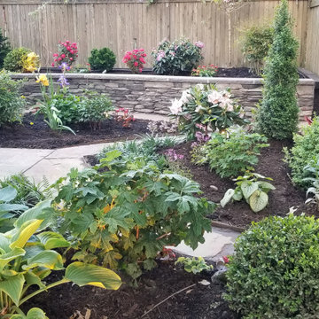 Ditmas Park Secret Garden