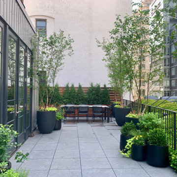 Tribeca Rooftop Garden I