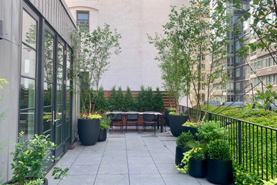 This is an example of a contemporary rooftop landscaping in New York.