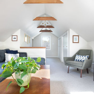 Project 3759-1 Mid-Century Modern Attic and Bath in Arden Hills