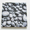 Daltile Pacific Islands Pebble Rock Stone Ceramic Wall Tiles, Samples: One 4x4 a