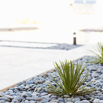 Sophisticated Desertscape - Gilbert