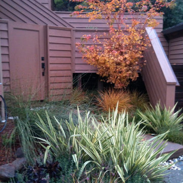 San Rafael Hillside renovation