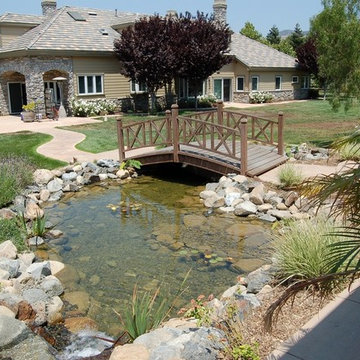 Backyard ecosystem ponds