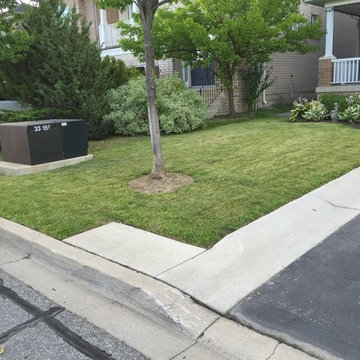 First Time Customer Weekly Lawn Care
