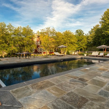 Stunning Before and After Poolscape Transformation
