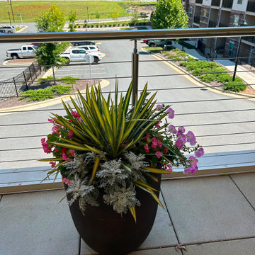 Commercial Outdoor Site Preparation.