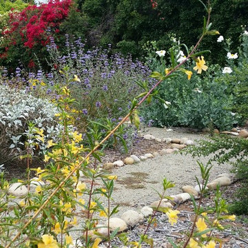 LaMesa California Native Plant Garden