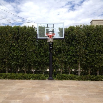 Shirin S's Pro Dunk Gold Basketball System on a 30x28 in Beverly Hills, CA