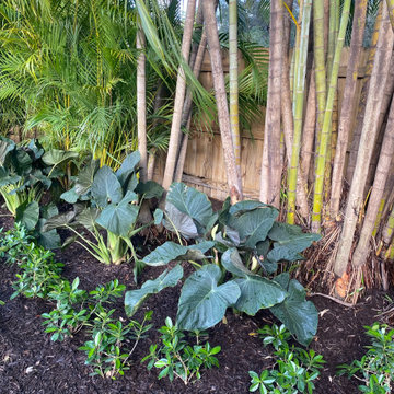 Miami Shores Landscape Design