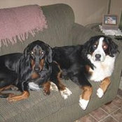 Cindy Gonschior Snider's photo