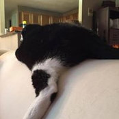 Dean Frank's photo