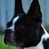 Karen Hubert's photo