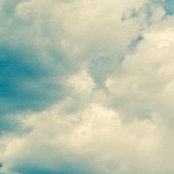 Michelle Qazi's photo