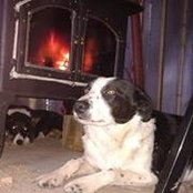 Joanna Thomson's photo