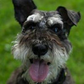 Lisa Wessel's photo