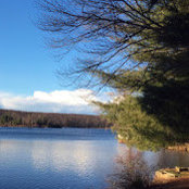 Susan Ritter's photo