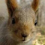 Alessandra Zanelli's photo