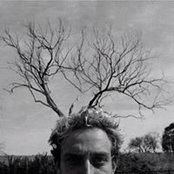 Ben Ferguson's photo