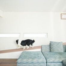 愛犬、愛猫が健康に、幸せに暮らせる《スロープの家》