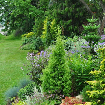 Back Yard Gardens