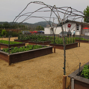 Vegetable gardens