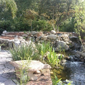 Botanical Garden