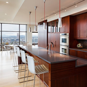 Nob Hill Penthouse