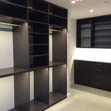 New Dressing room / Bath Remodel