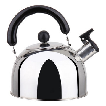 Stainless steel stovetop whistling tea kettle with handle - induction compatible
