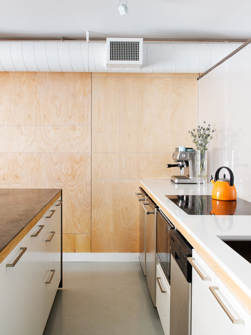 Best Birch Plywood Design Ideas & Remodel Pictures Houzz