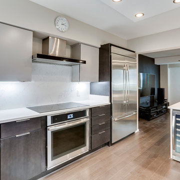 Contemporary Kitchen & Aquarium Design Falls Church, VA