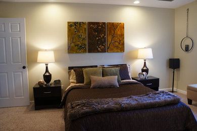 Home design - contemporary home design idea in Raleigh