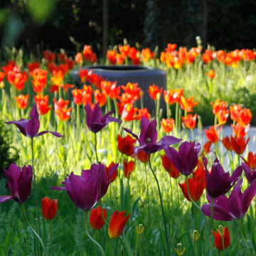 Meadow Garden