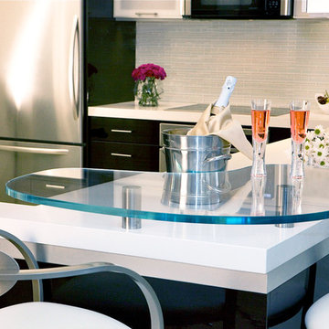 Contemporary Kitchen Remodel (Miami, FL)