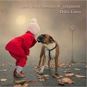 Lisa Victoria's photo