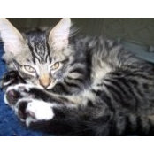 Pat Nabel's photo