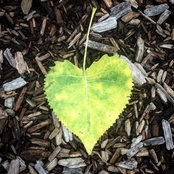 Ruth Raupagh's photo