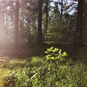 Foto von Дина Маркова