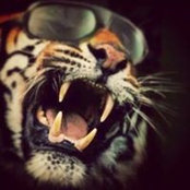 Paul Dyke's photo