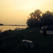 Foto von Jayne Hall-Minor