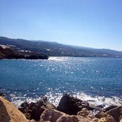 Mitcha Salloum's photo