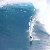 Justin Remais's photo