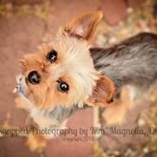 Brandee Monroe's photo