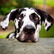 Mandy Pierson's photo